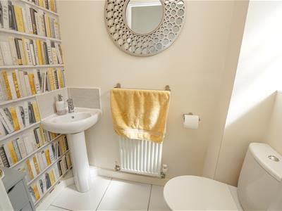 Picture 11